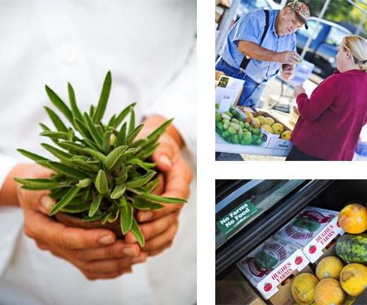 Our Artisan Producers