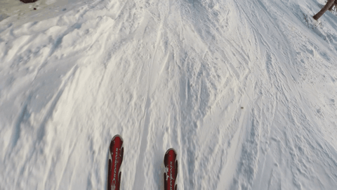 Marcy Davis, Skiing, 2015. Gif