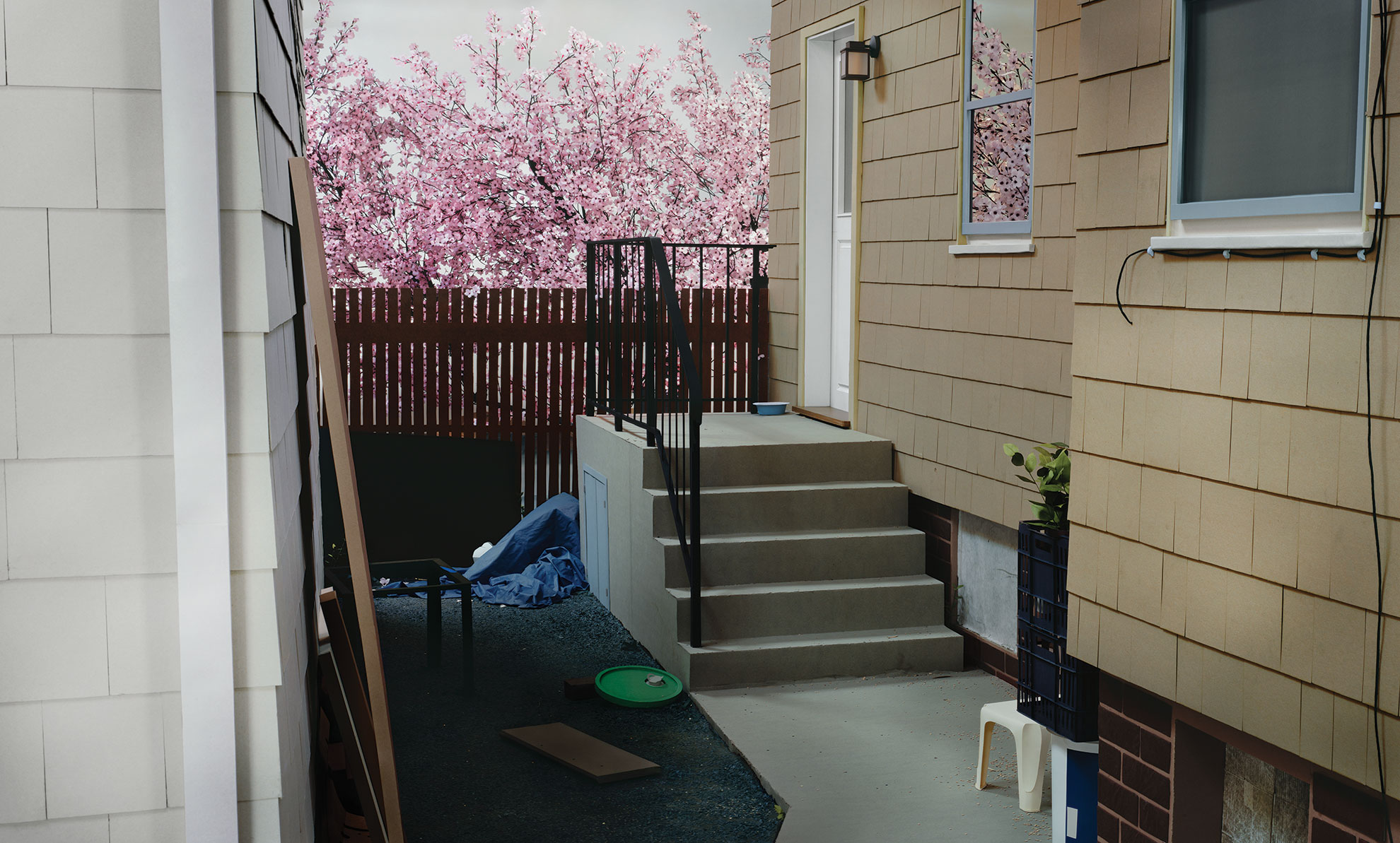 Thomas Demand, Backyard, 2014. C-Print/Diasec. 90 1/2 x 150 3/8 inches.