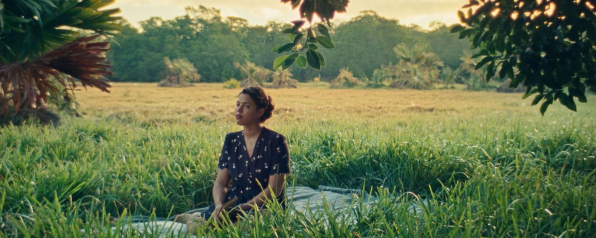 Still from “Too Bright to See (Part 1),” dir. by Madeleine Hunt-Ehrlich, 2023–24