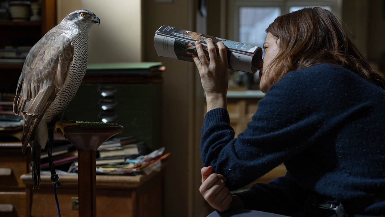 Brunette woman in office looking at a live hawk through a rolled-up magazine