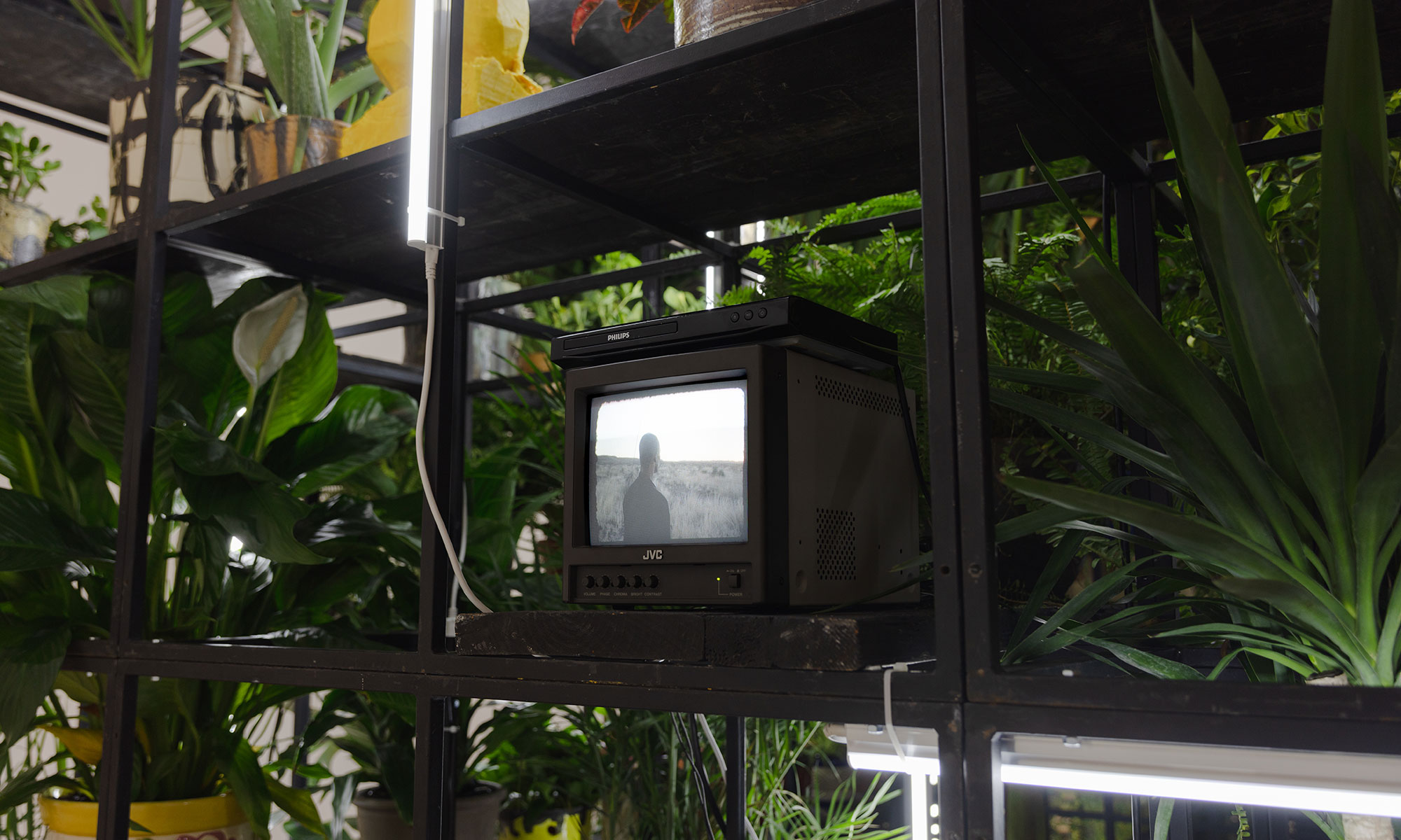 Rashid Johnson, Samuel in Space, 2013