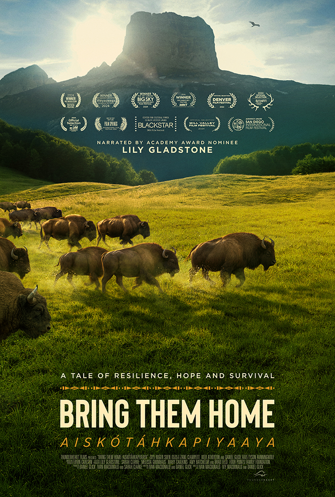 Bring Them Home poster