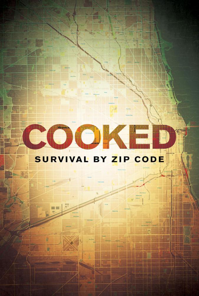Cooked: Survival by Zip Code movie poster