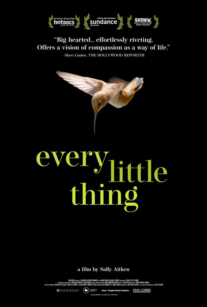 Movie poster for "Every Little Thing"