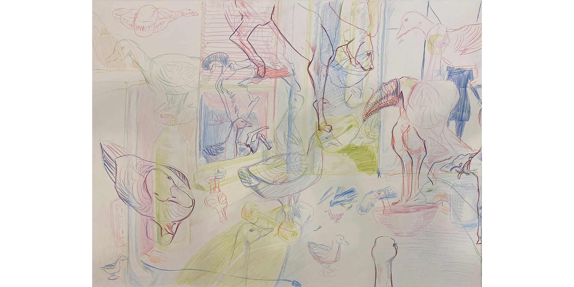Sarah Carter, Duck in Dog Land