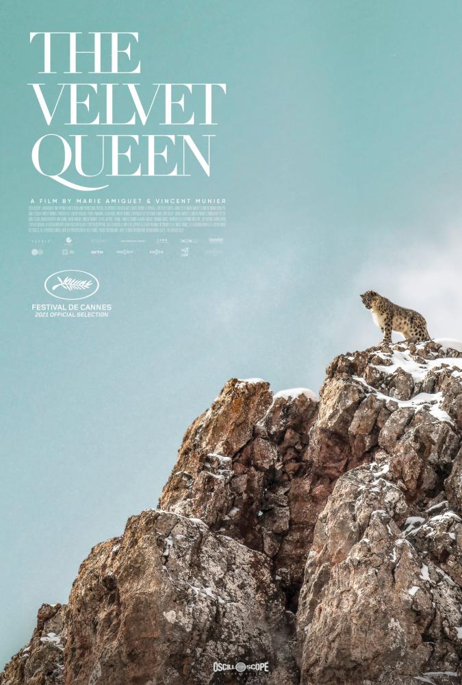  Leopard_on_Cliff_The_Velvet_Queen_Poster