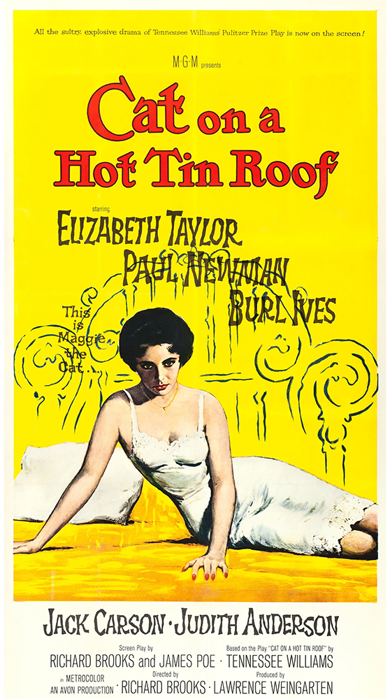 Cat on a Hot Tin Roof