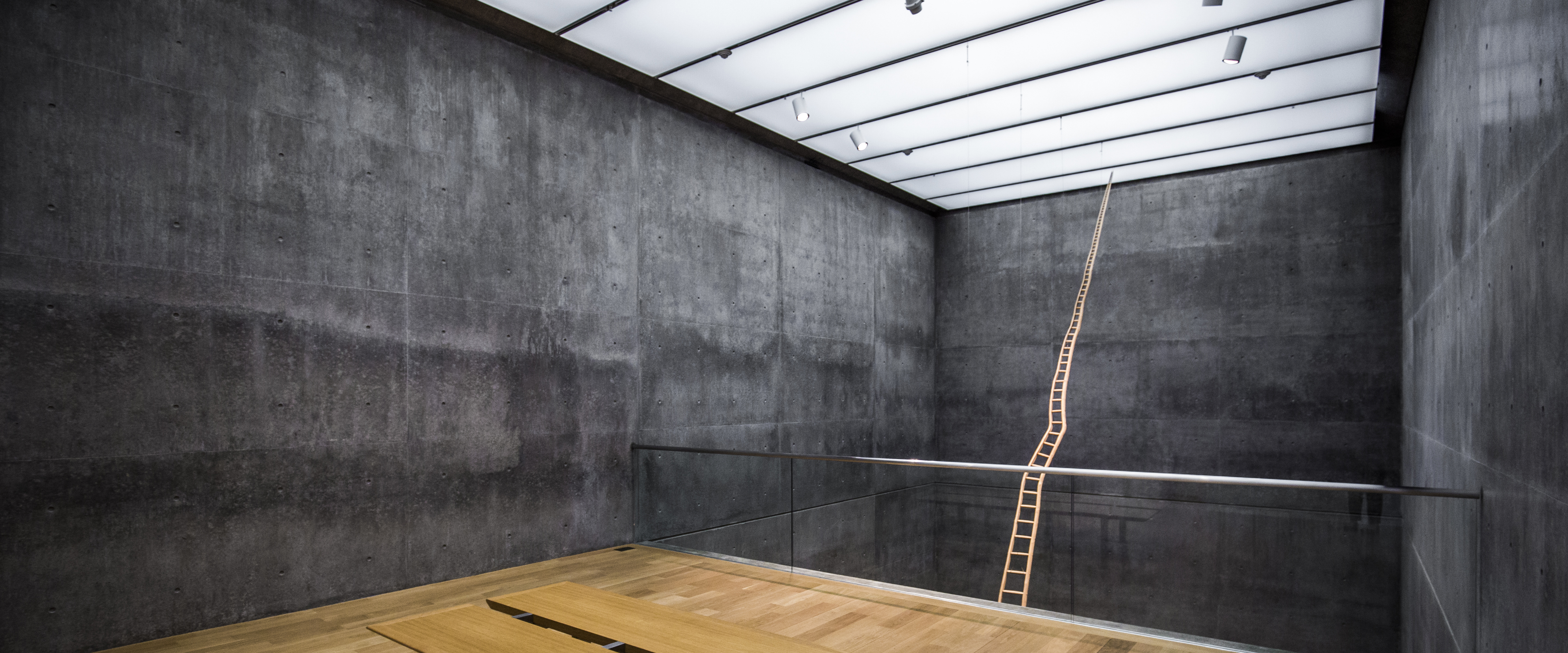 martin_puryear_ladder