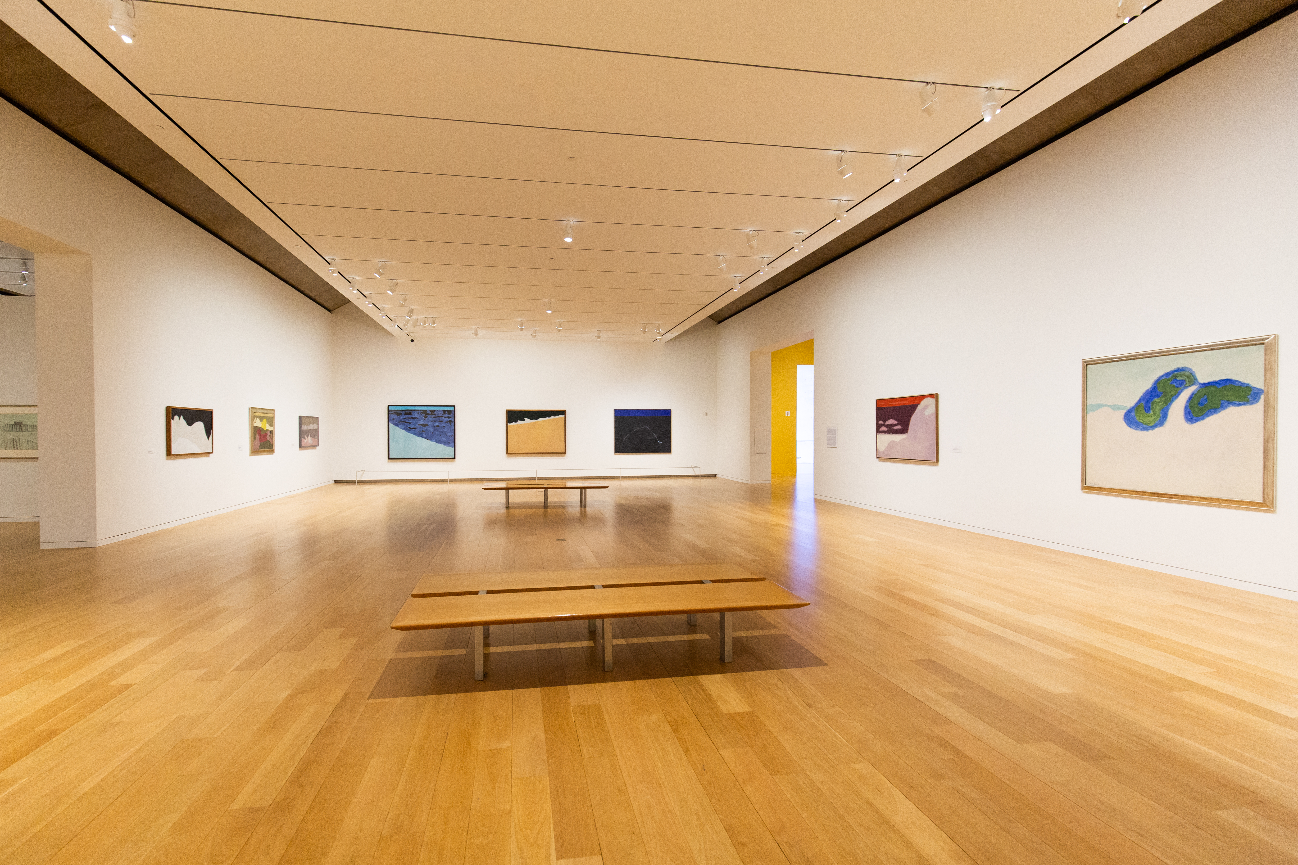 Milton Avery exhibition installed in Modern's galleries
